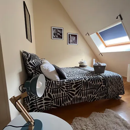 Les D'albatre, Le 44